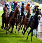 Horse racing and betting online